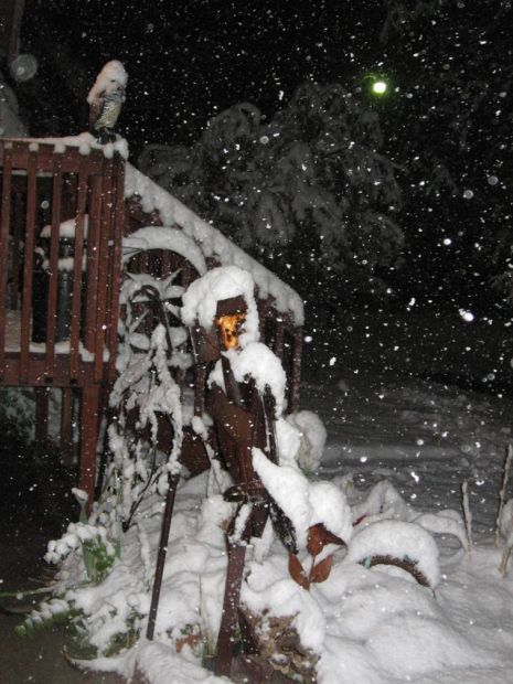 Winter Storm Atlas